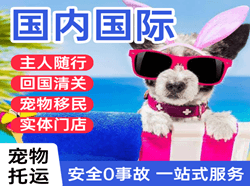 海浪机场托运国际宠物托运 【国
